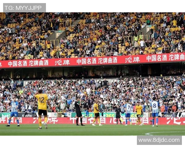 广州岁月足球明星俱乐部：传承足球精神与青春梦想的热血舞台