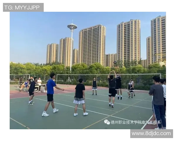 广州排球队战术解析：从技术细节到团队协作的全方位探讨